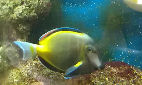 IMAG0144.jpg