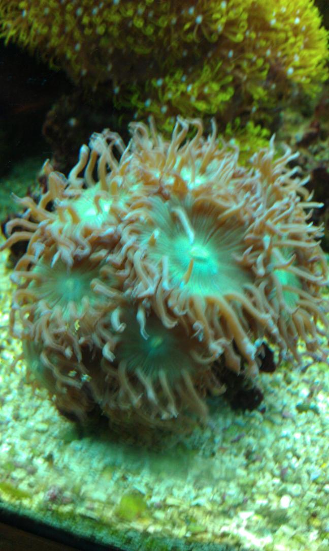 IMAG0152.jpg