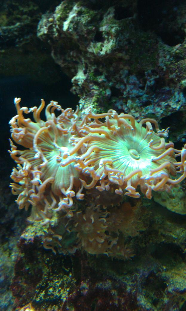 IMAG0153.jpg