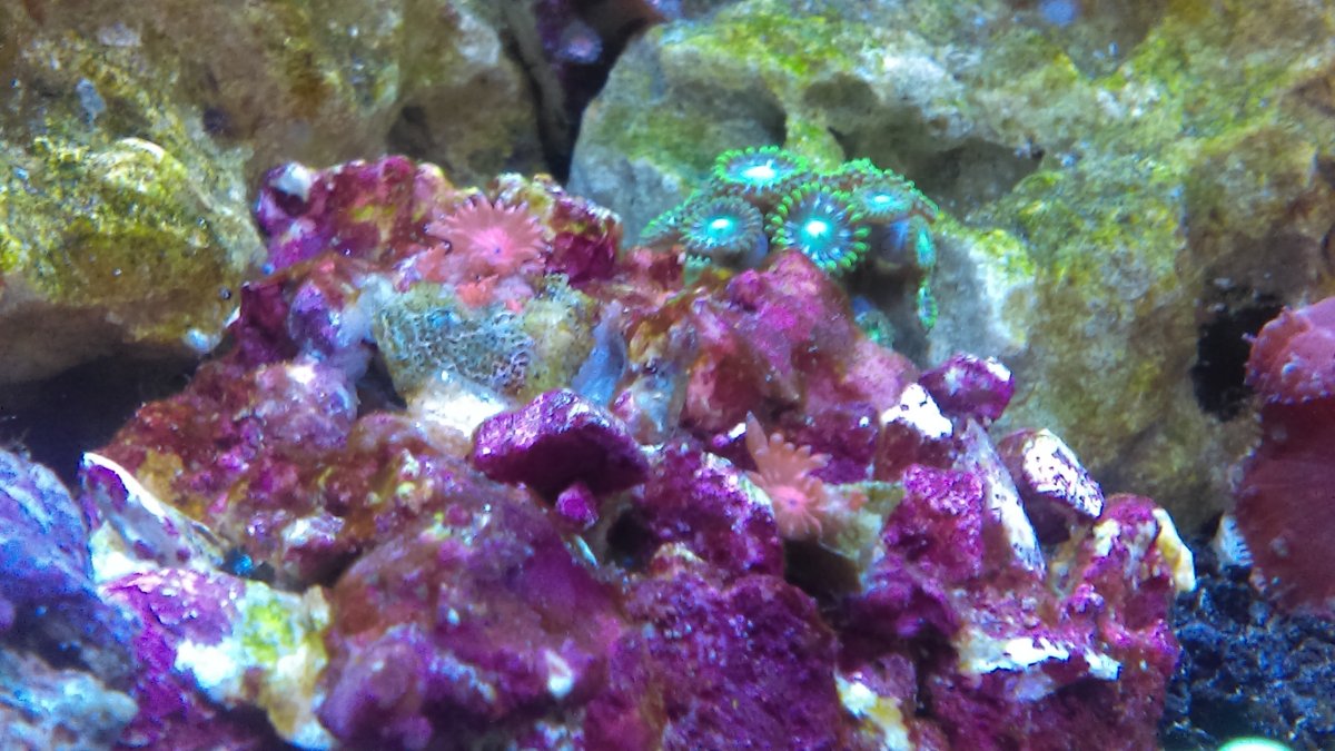 IMAG0153.jpg