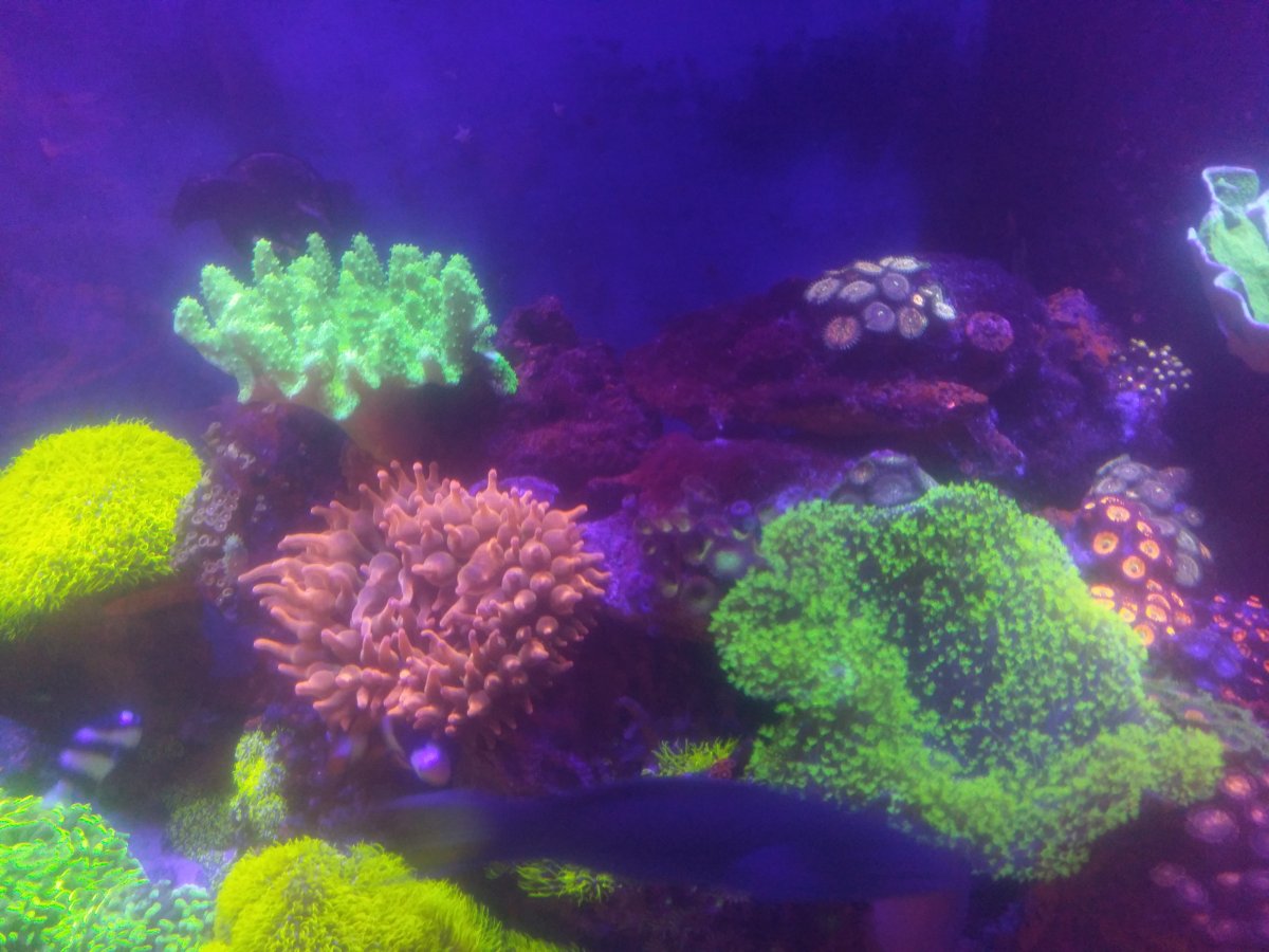 IMAG0156.jpg