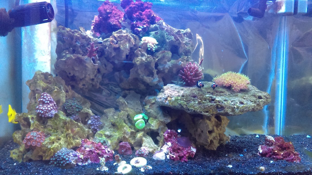 IMAG0164.jpg