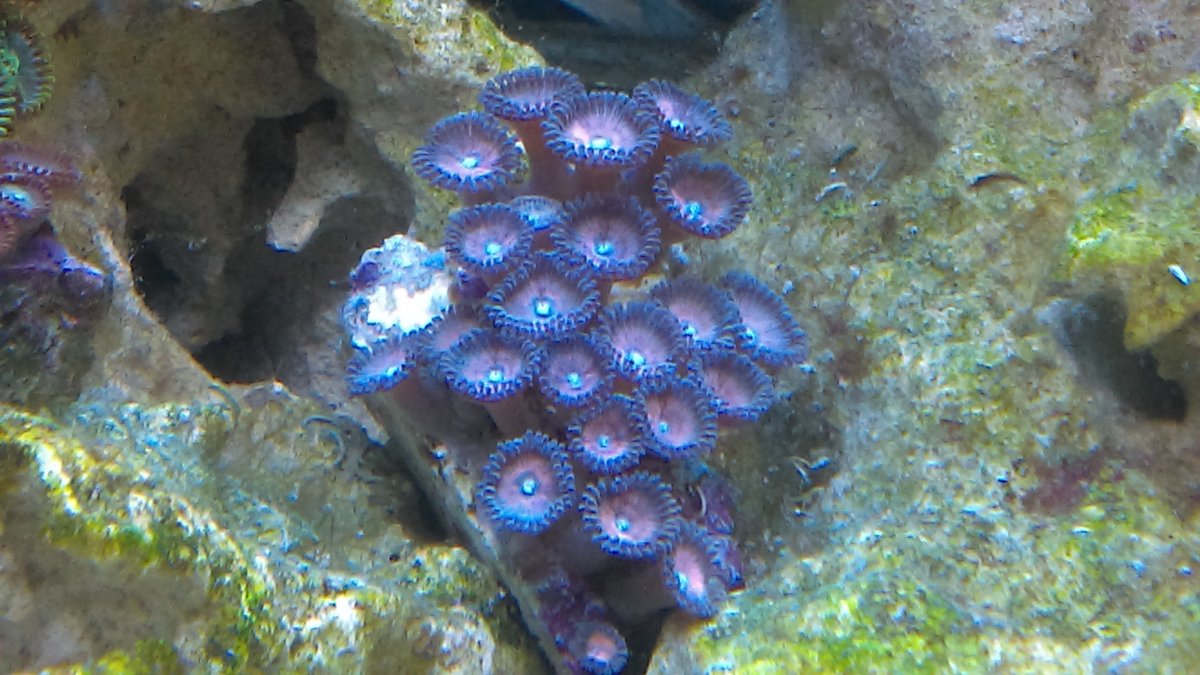 IMAG0165.jpg