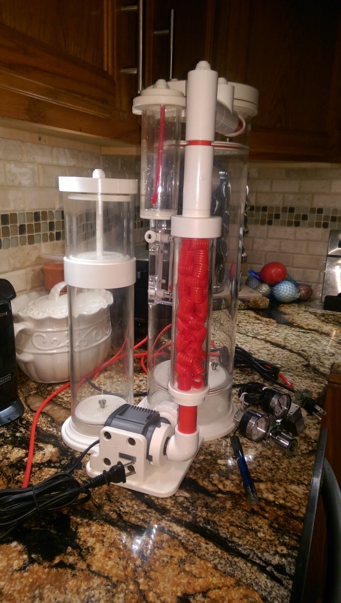 IMAG0166.jpg