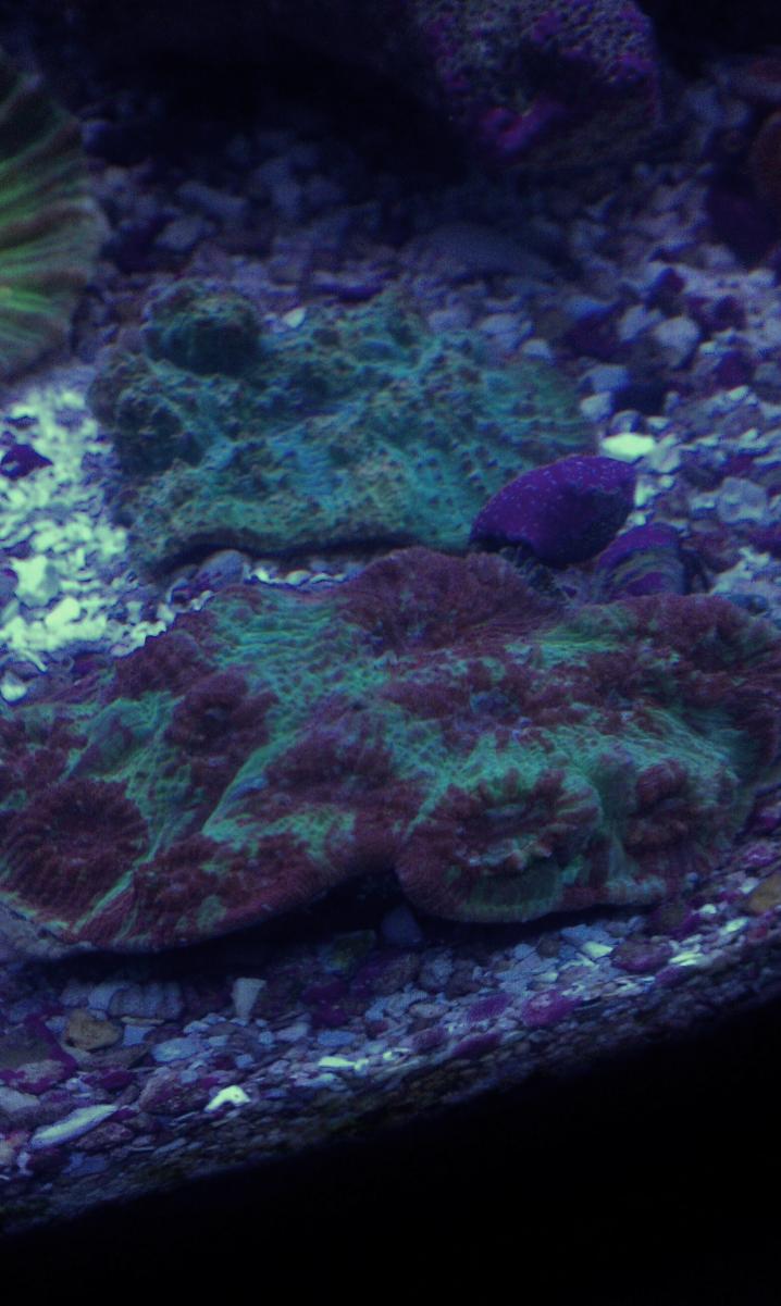 IMAG0168.jpg