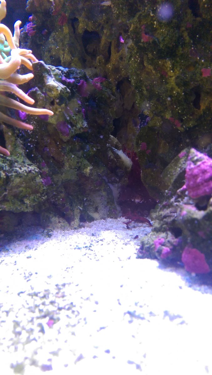 IMAG0175.jpg
