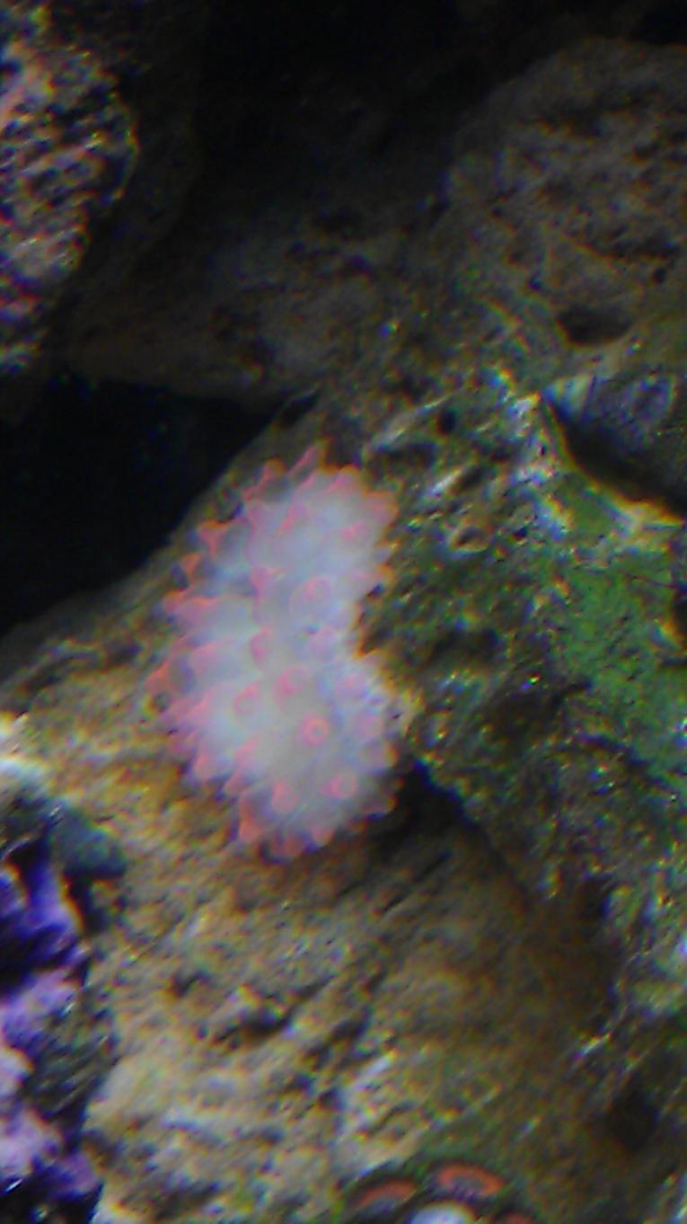 IMAG0175.jpg