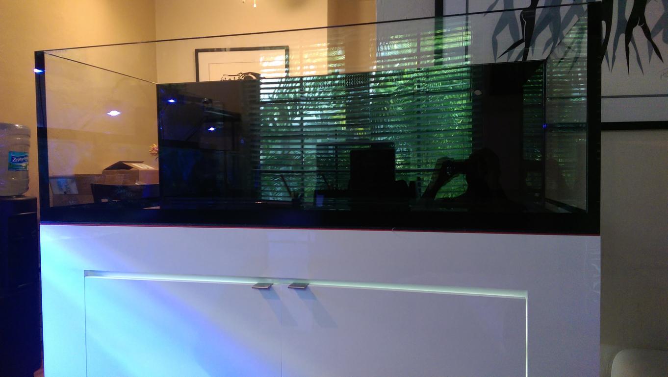 IMAG0187.jpg