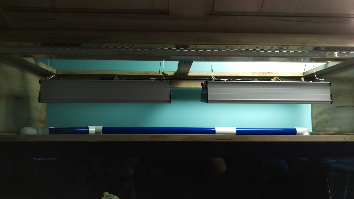 IMAG0191.jpg
