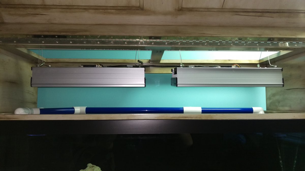 IMAG0192.jpg