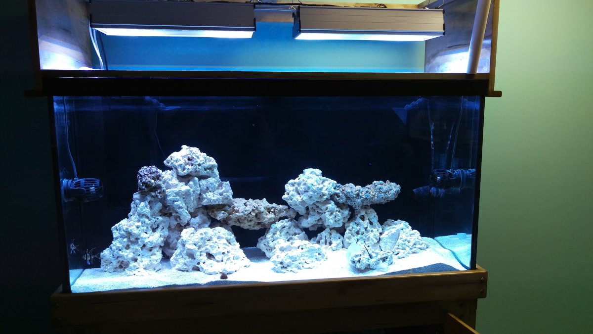 IMAG0195.jpg