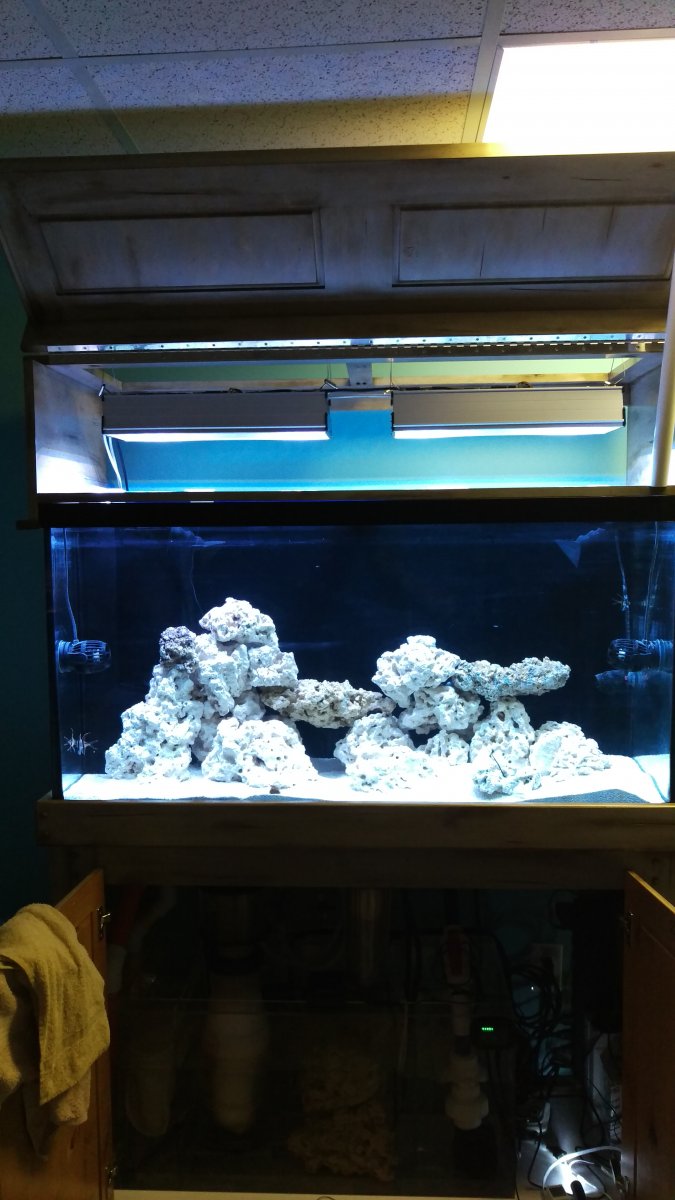 IMAG0196.jpg