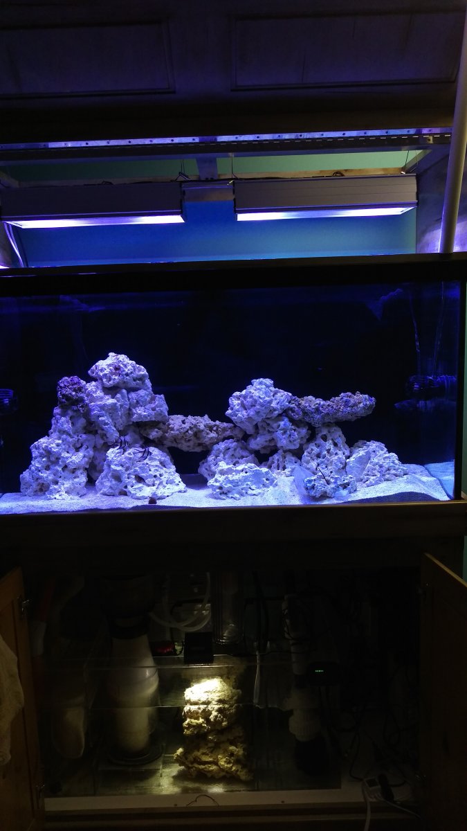 IMAG0197.jpg