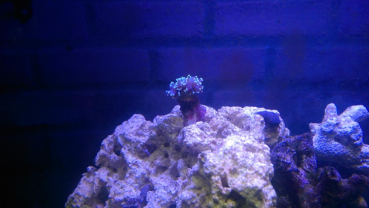 IMAG0202.jpg