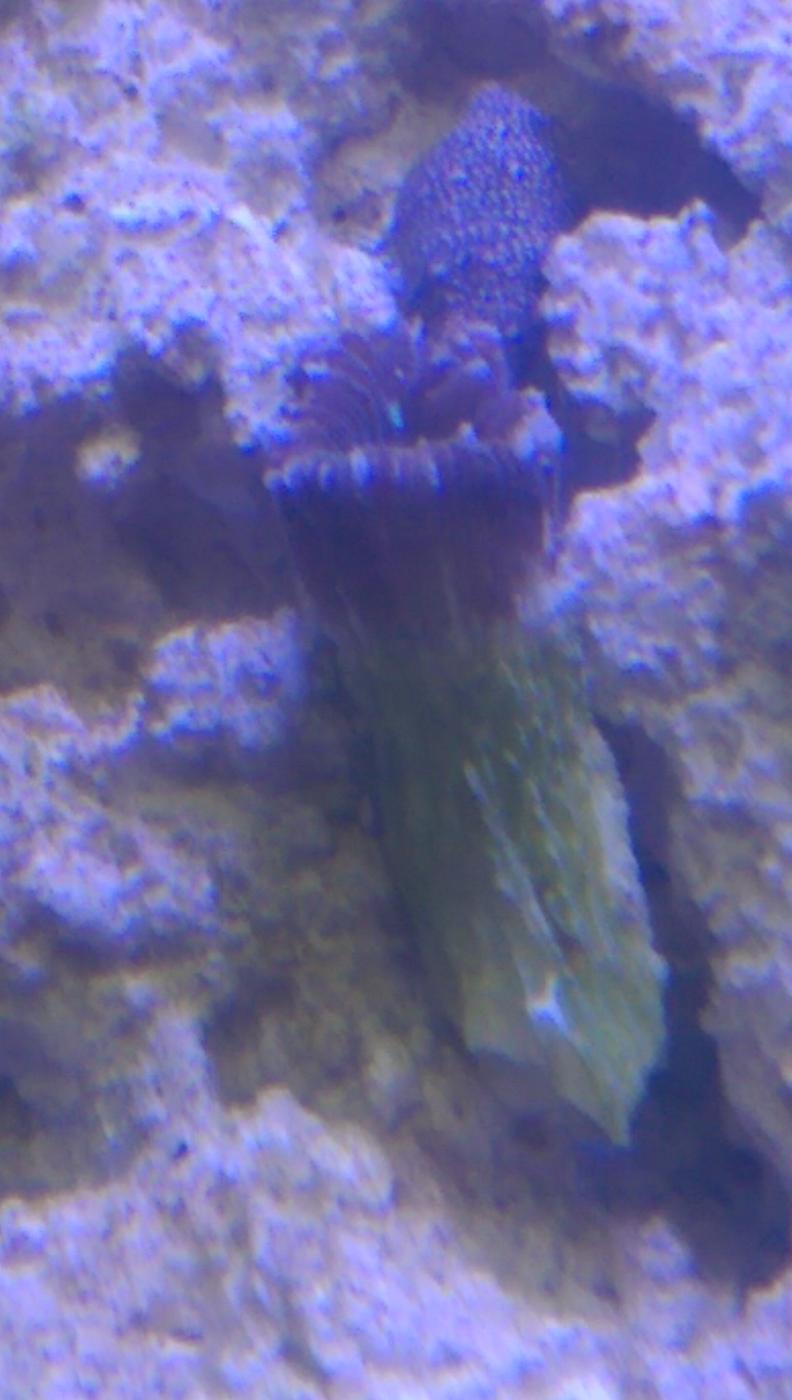 IMAG0210.jpg