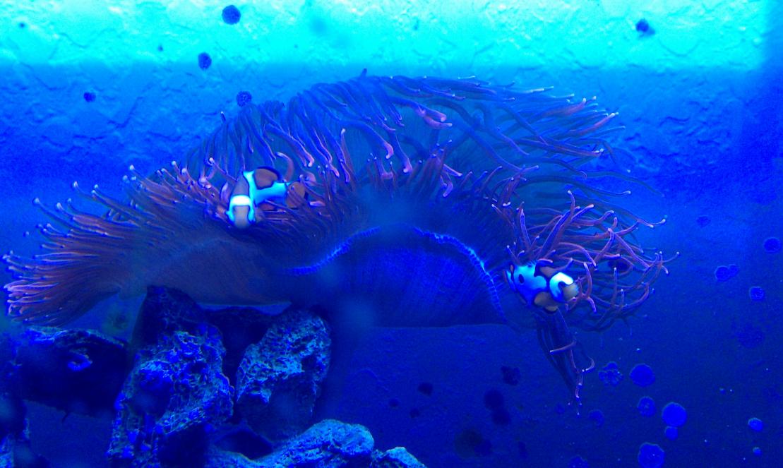 IMAG0213.jpg