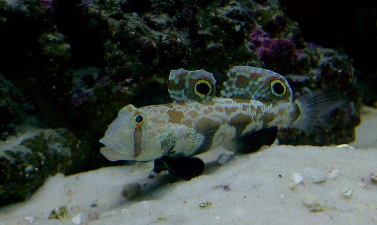 IMAG0224.jpg