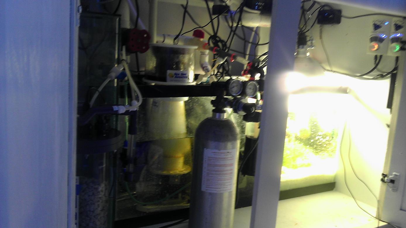 IMAG0228.jpg