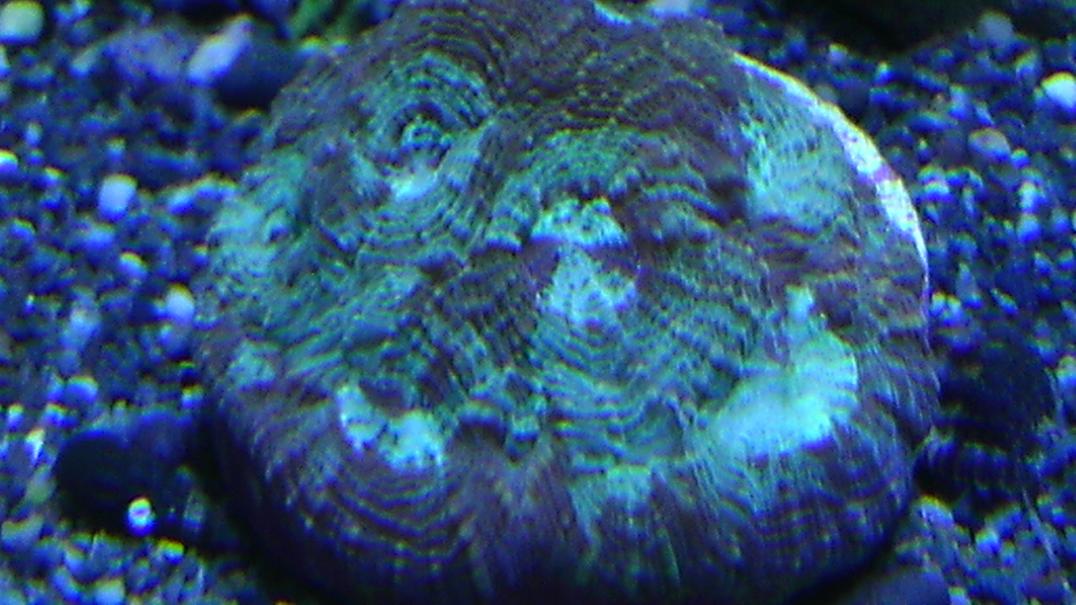 IMAG0231.jpg