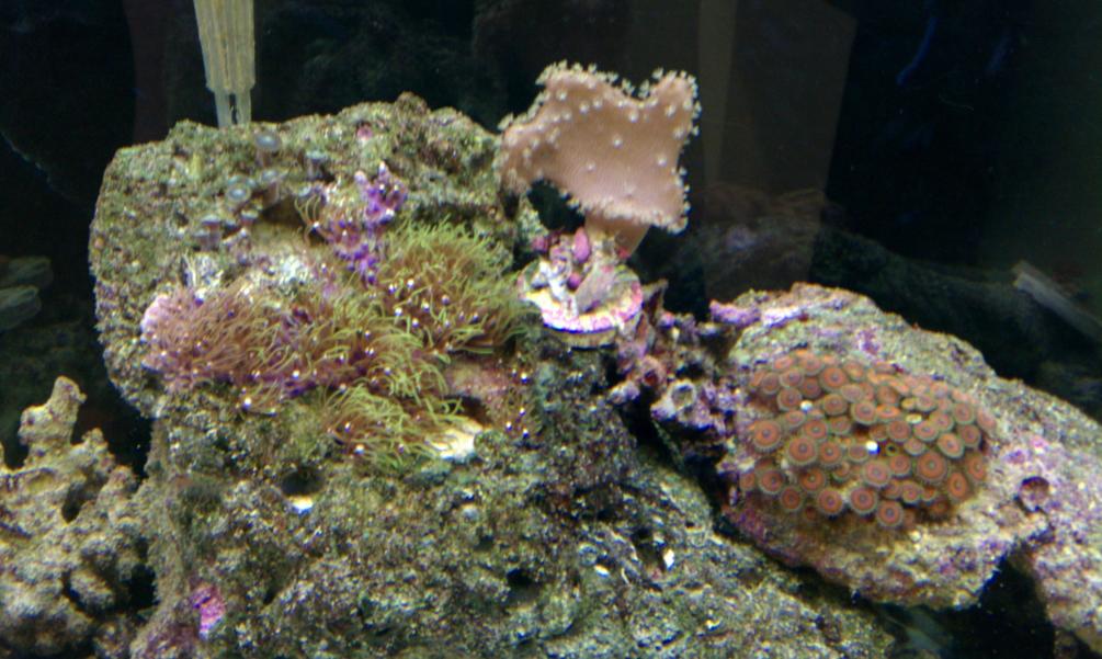 IMAG0237.jpg