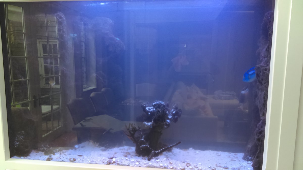 IMAG0238.jpg