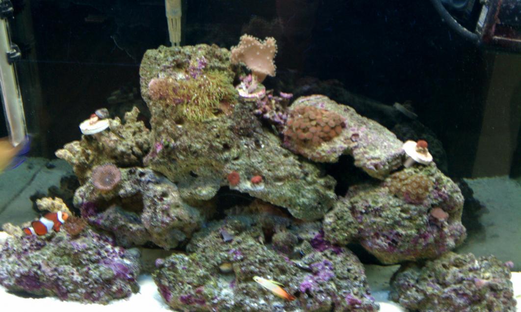 IMAG0240.jpg