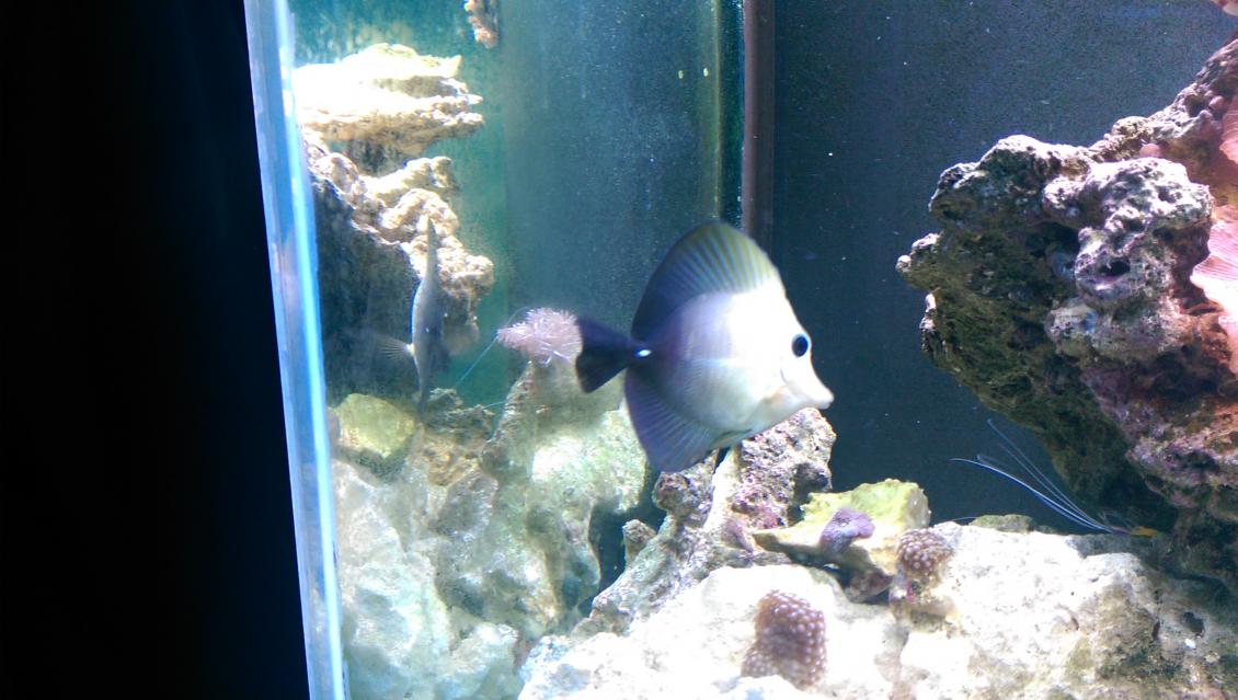 IMAG0246.jpg
