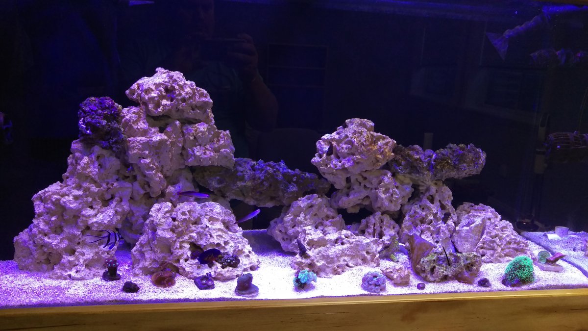 IMAG0252.jpg