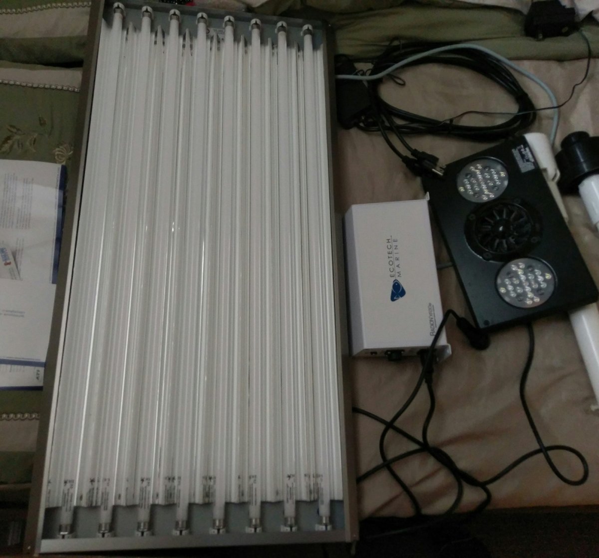 IMAG0253.jpg