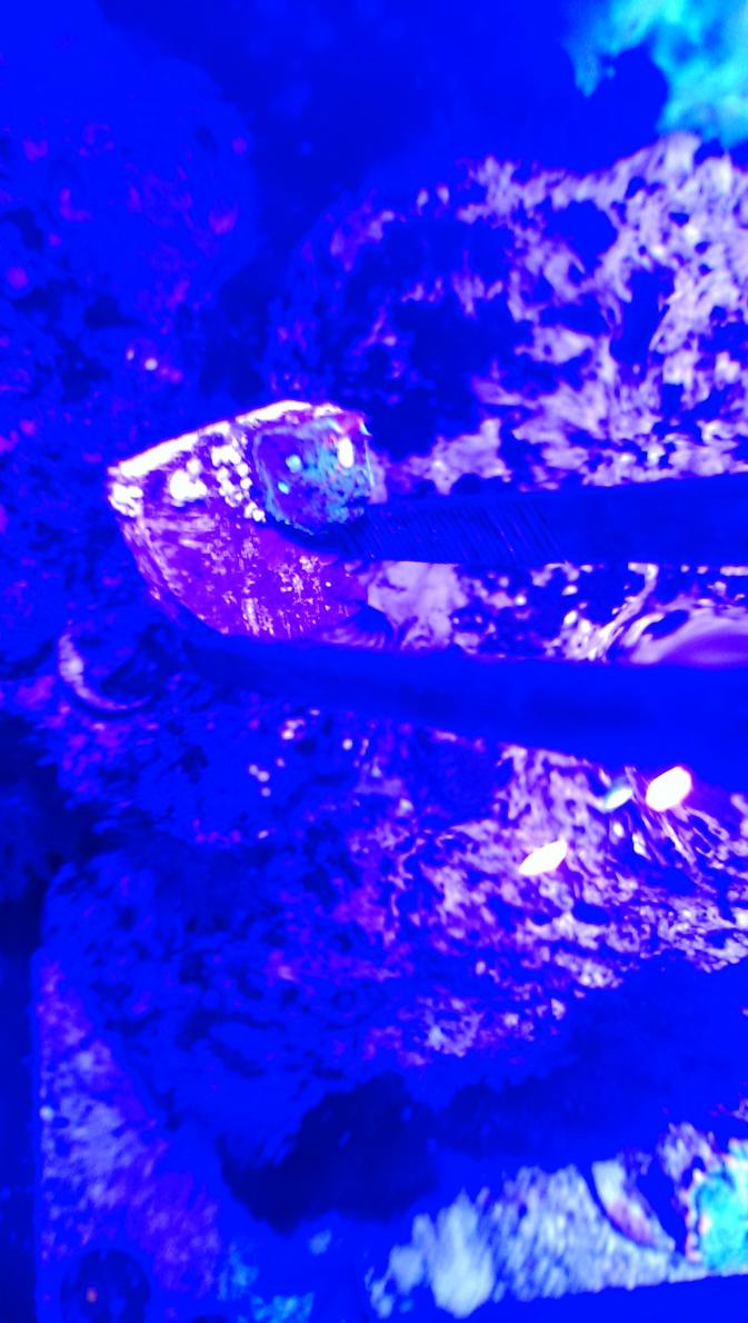IMAG0277.jpg