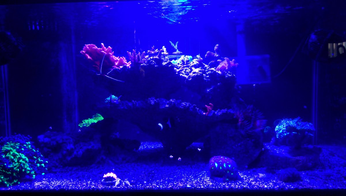 IMAG0280.jpg