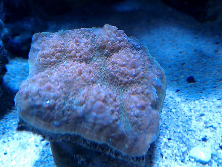 IMAG0280.jpg