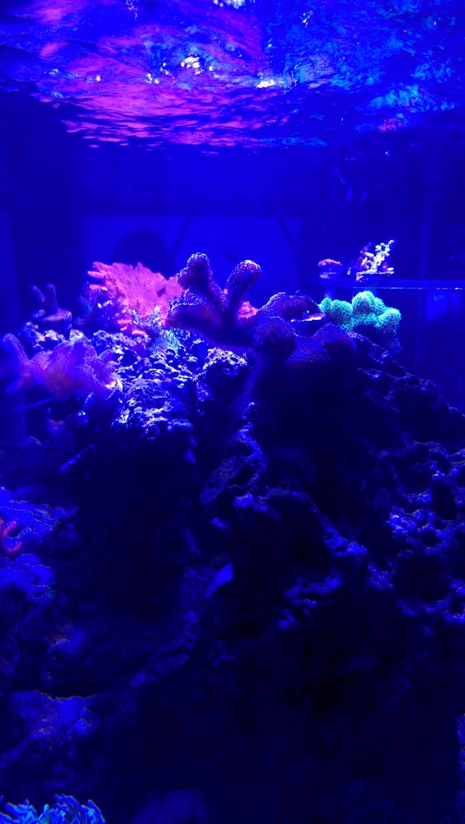 IMAG0282.jpg