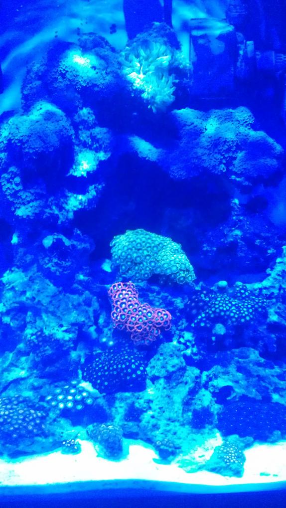 IMAG0285.jpg