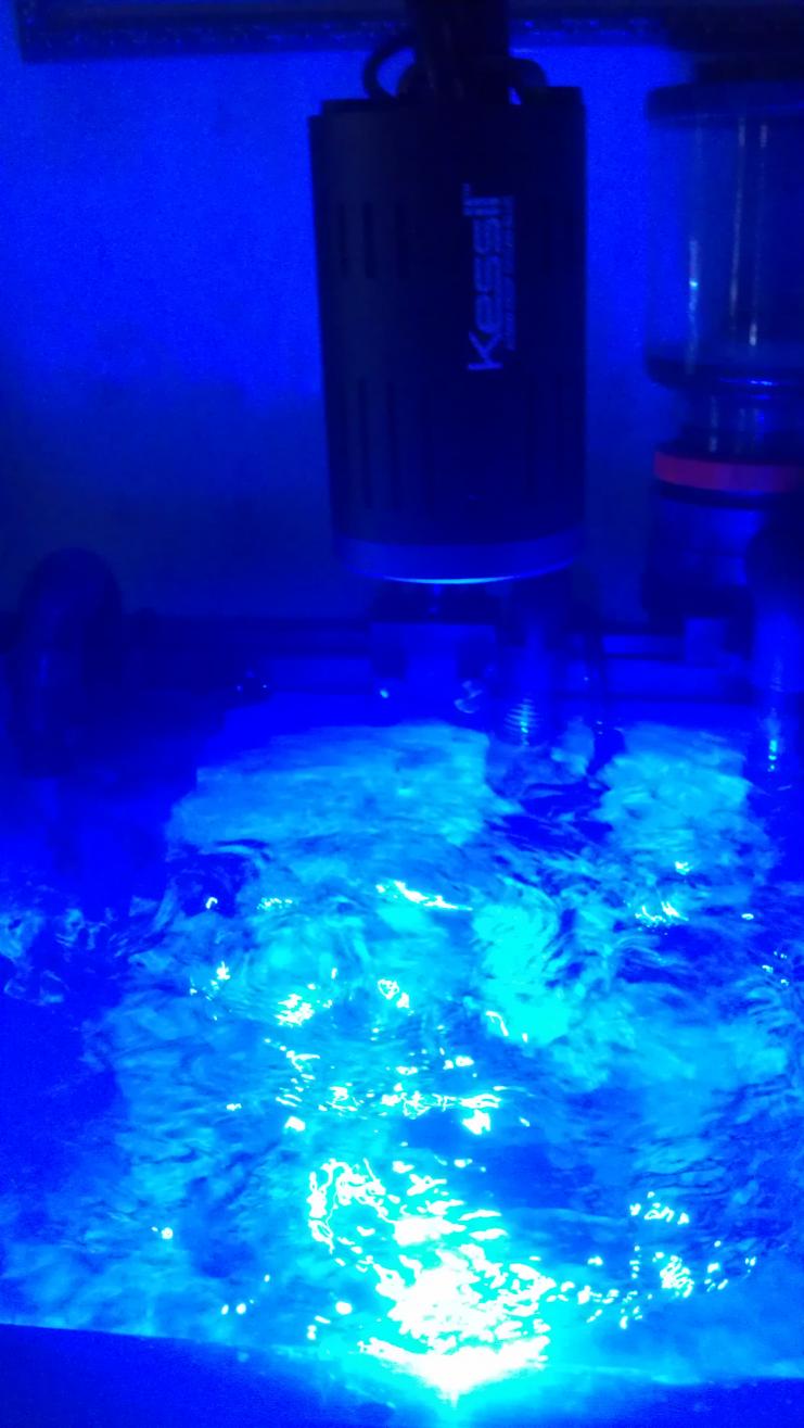 IMAG0286.jpg