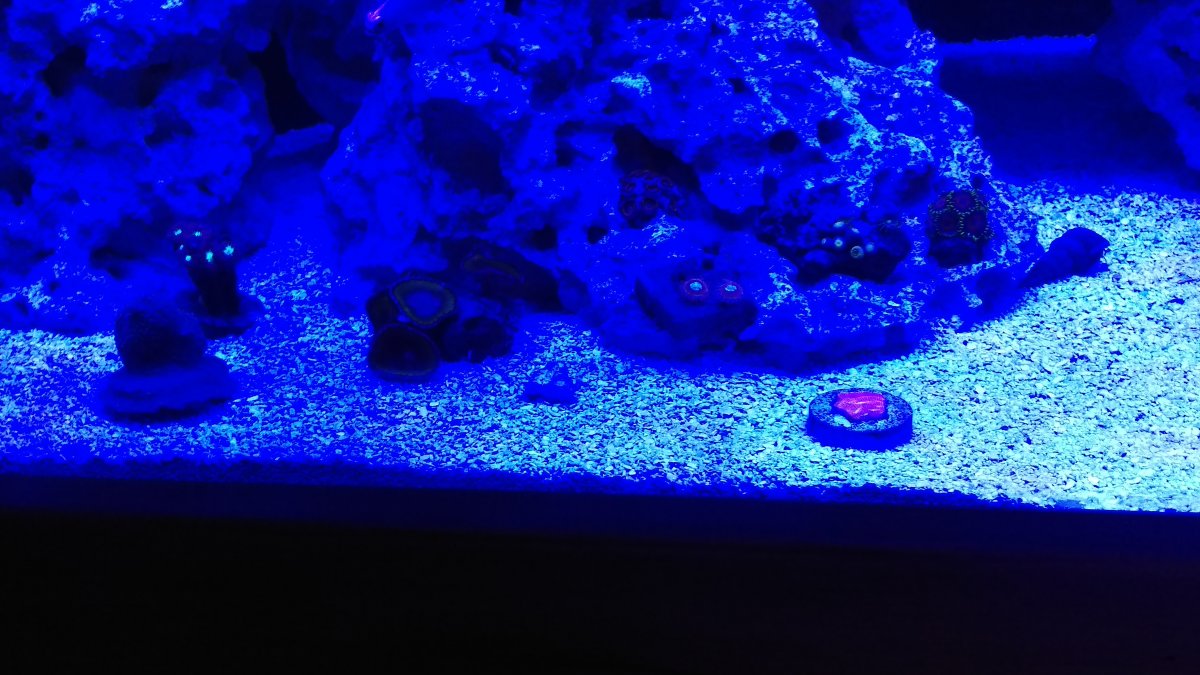 IMAG0290.jpg