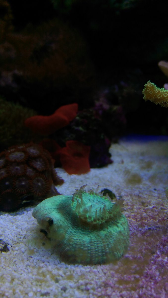 IMAG0294.jpg