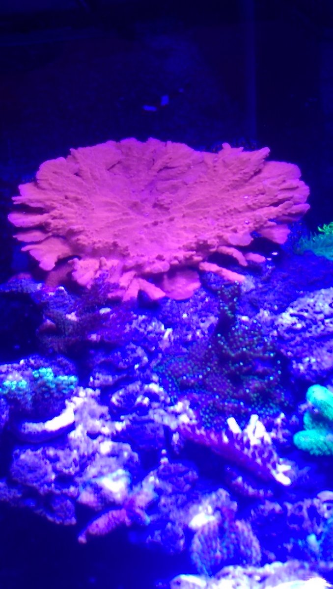 IMAG0310.jpg