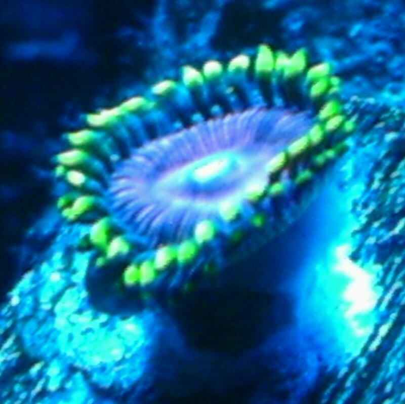 IMAG0316-1.jpg