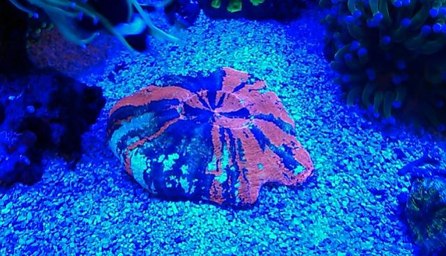IMAG0322.jpg