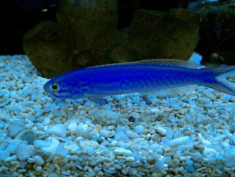 IMAG0334.jpg