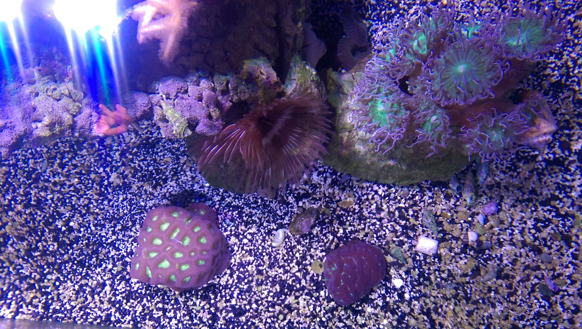 IMAG0339.jpg