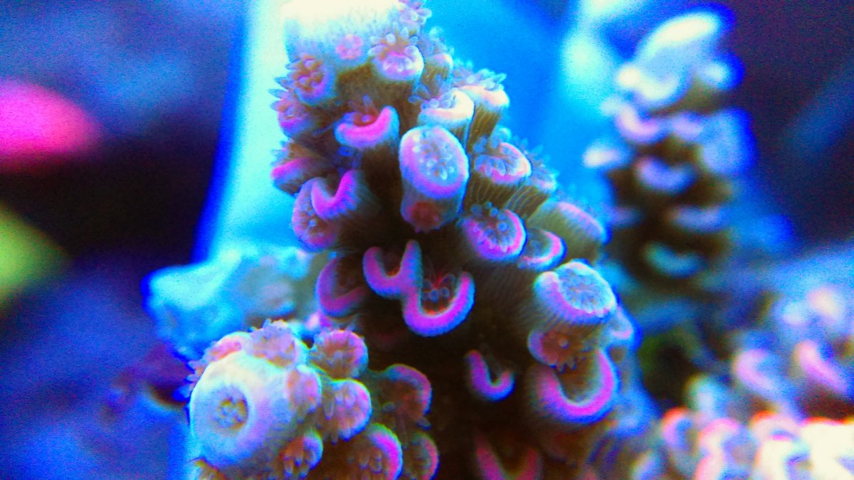 IMAG0341-02.jpeg