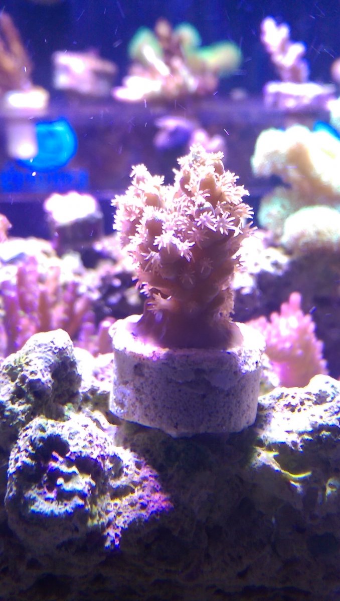 IMAG0342.jpg