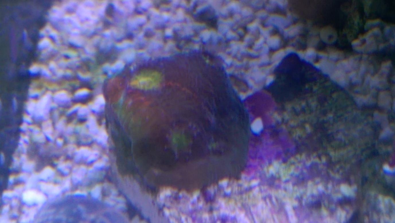 IMAG0355.jpg