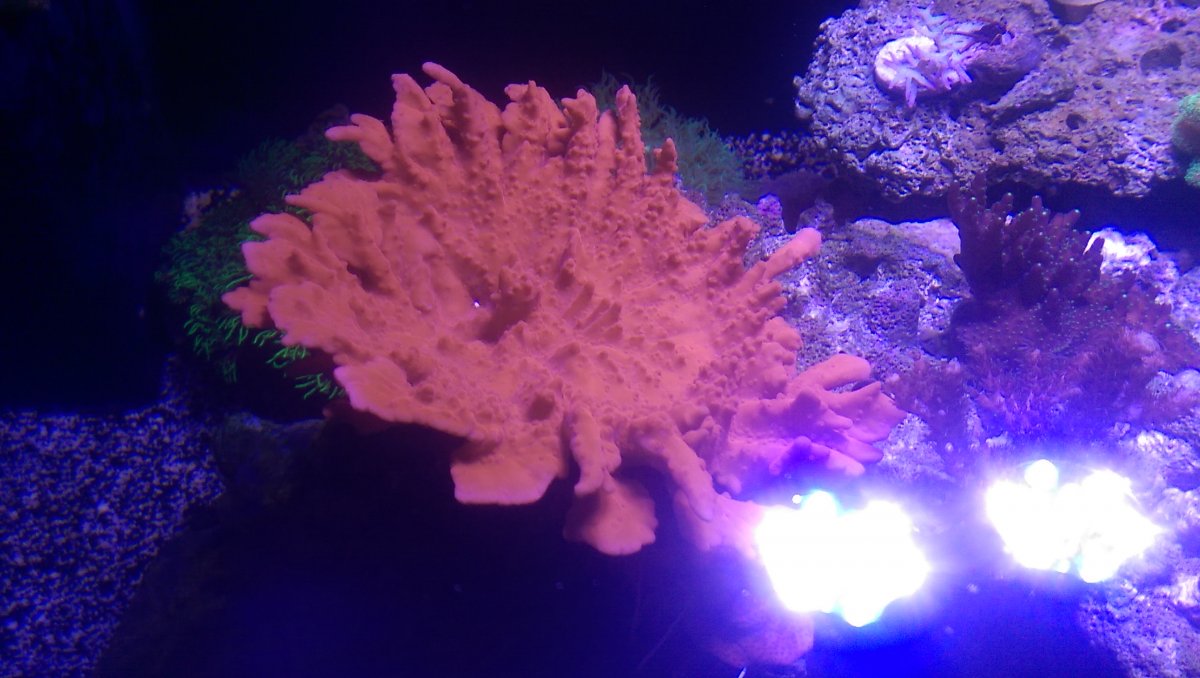 IMAG0363.jpg