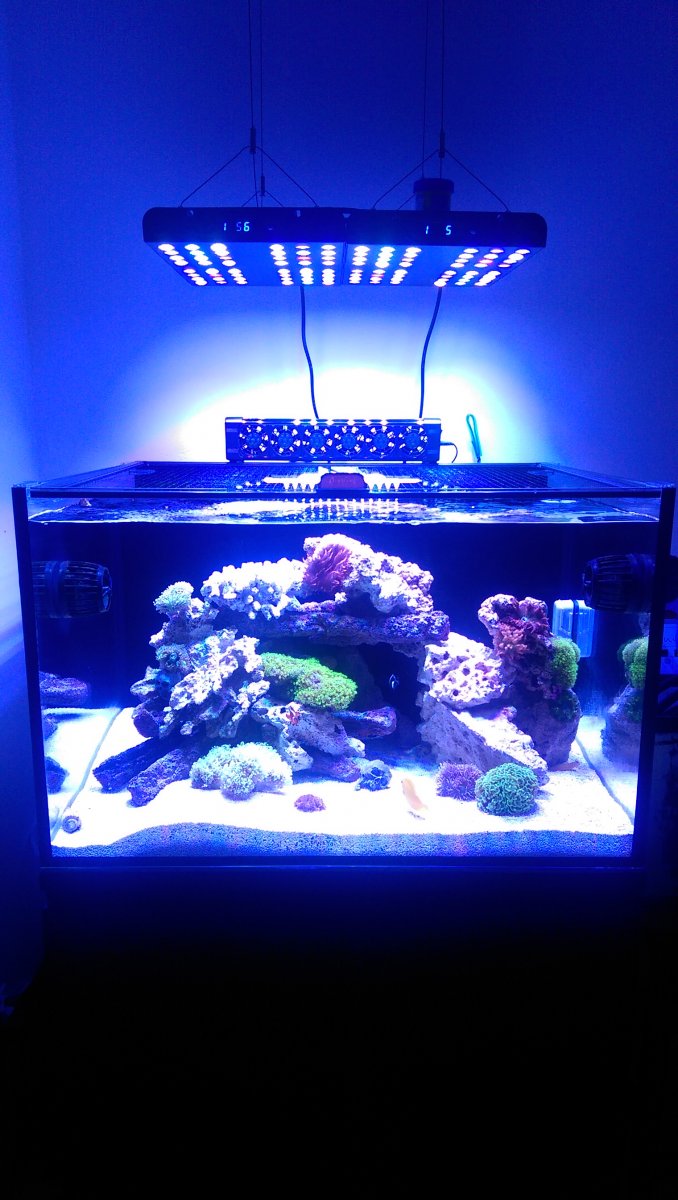IMAG0378.jpg