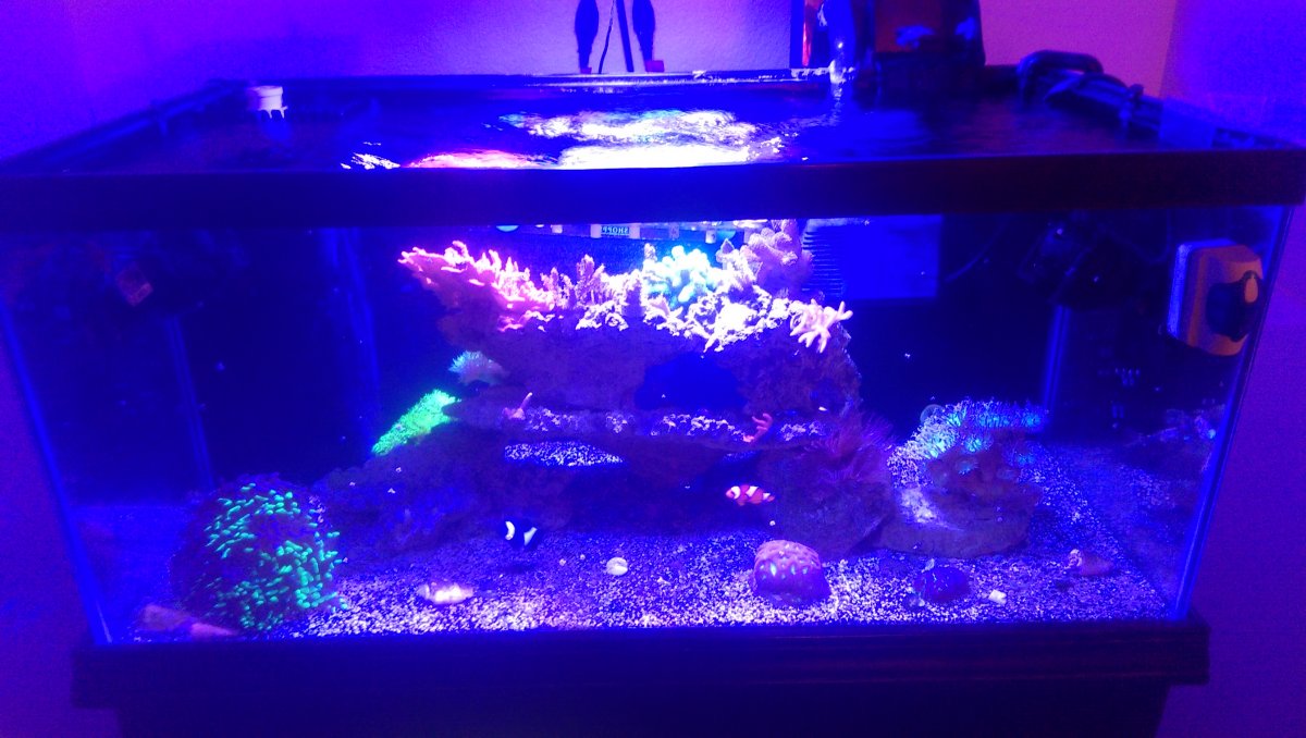 IMAG0383.jpg
