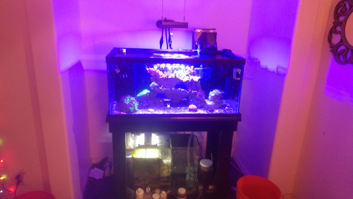 IMAG0384.jpg