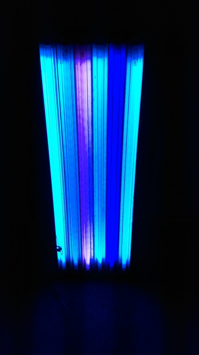 IMAG0385.jpg